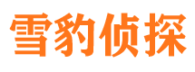 甘孜外遇出轨调查取证